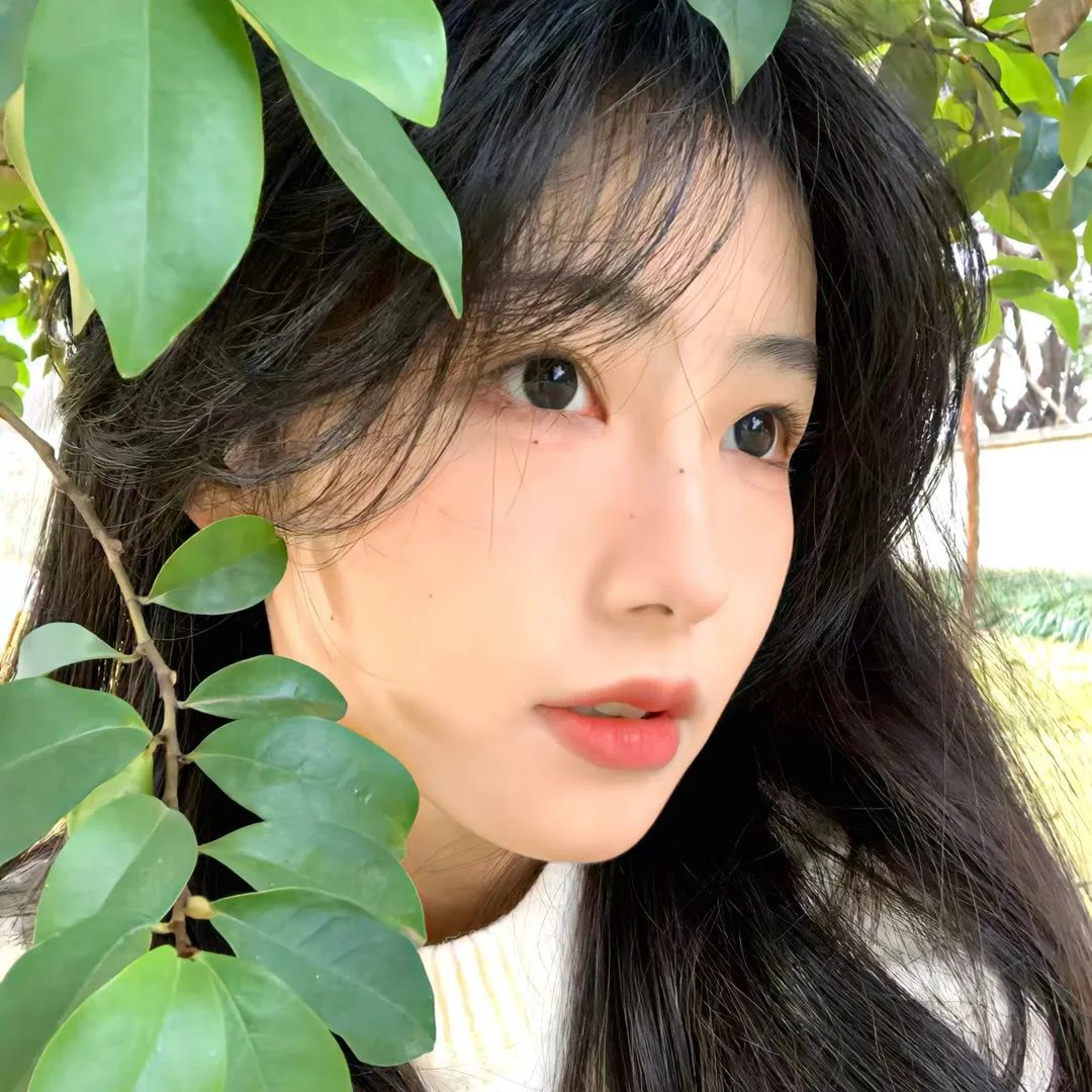 九月怀胎